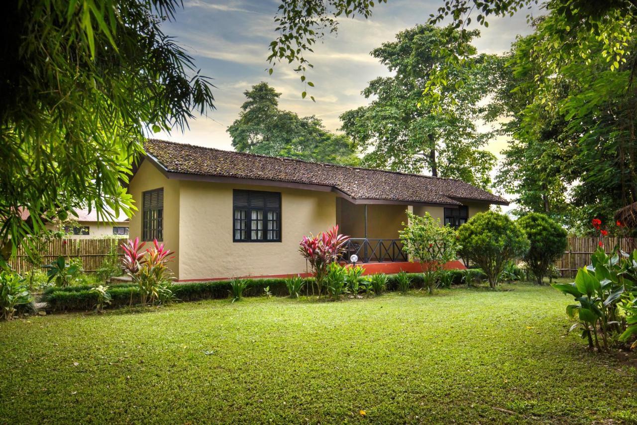 Mansions Jungle
