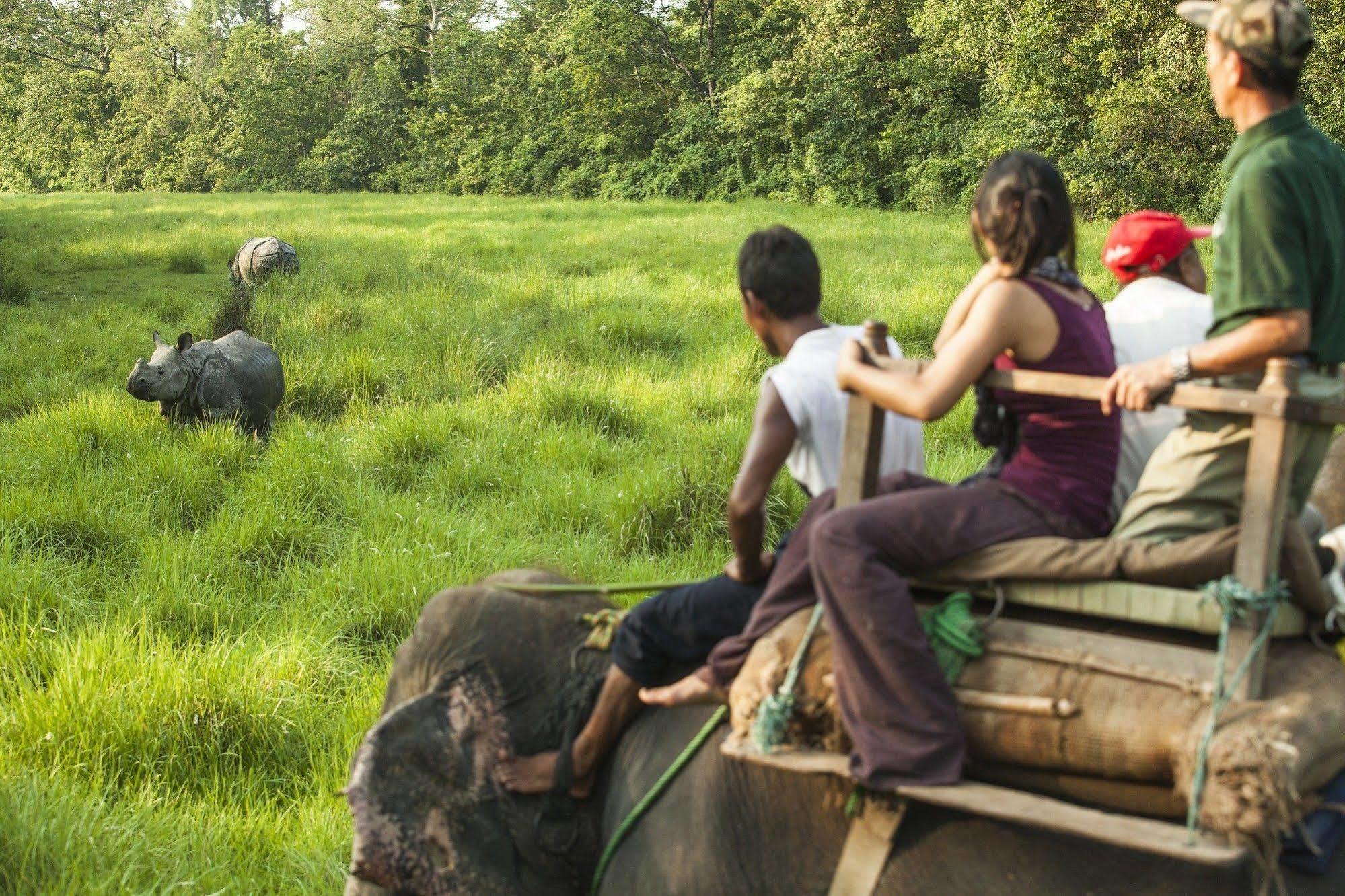 Mansions Jungle Sauraha