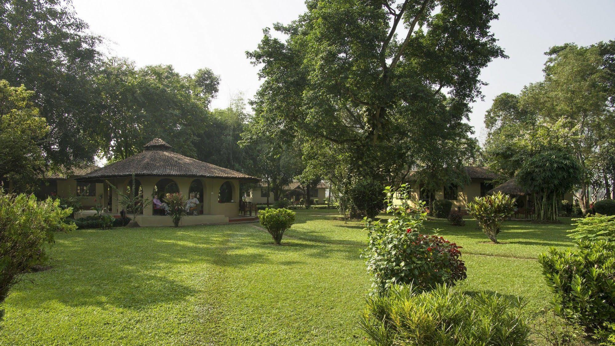 Mansions Jungle Sauraha