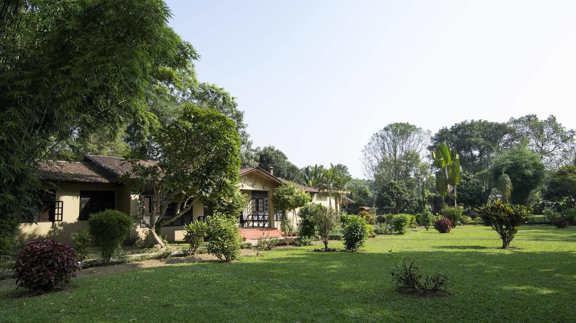 Mansions Jungle